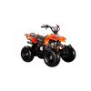 Mancini Pioner ATV 110CC