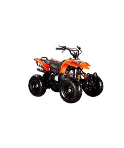 Mancini Pioner ATV 110CC