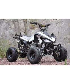 Outback 110cc ATV med revers
