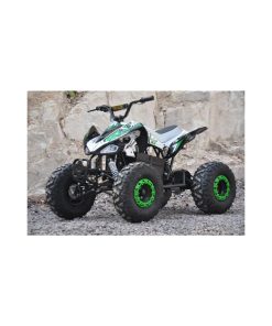 Stor elektrisk ATV 1000W børsteløs kardang 60V 20Ah